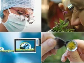 VipreySchmutz Loupe Jumelles Gal 8